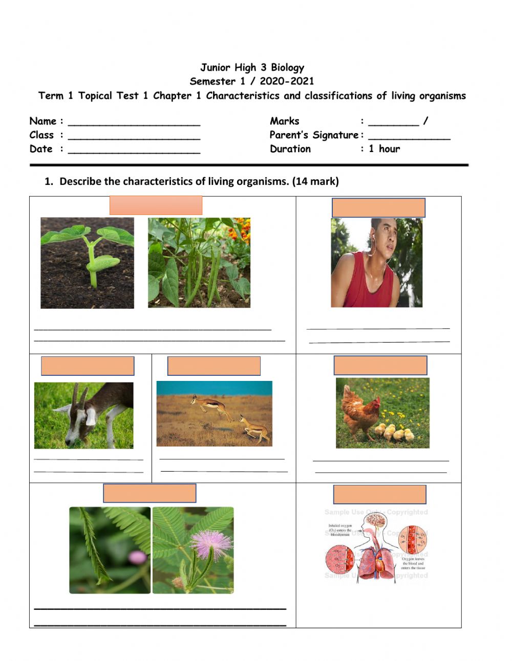 Describing Characteristics Living Things Worksheets - WorksheetsCity