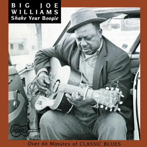 Forty Four Blues — Big Joe Williams