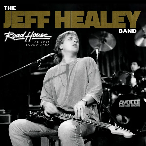When The Night Comes Falling From The Sky — The Jeff Healey Band